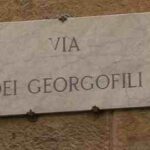 georgofili 1