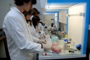 laboratori