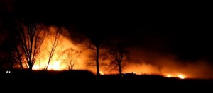 incendio bosco vigili notte 2
