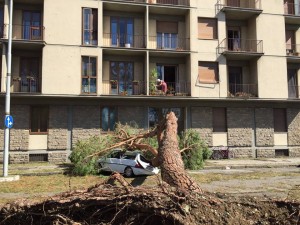 maltempo firenze 1 agosto - 2