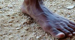 piedi nudi marcia degli scalzi