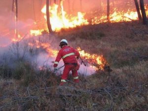 incendi maremma