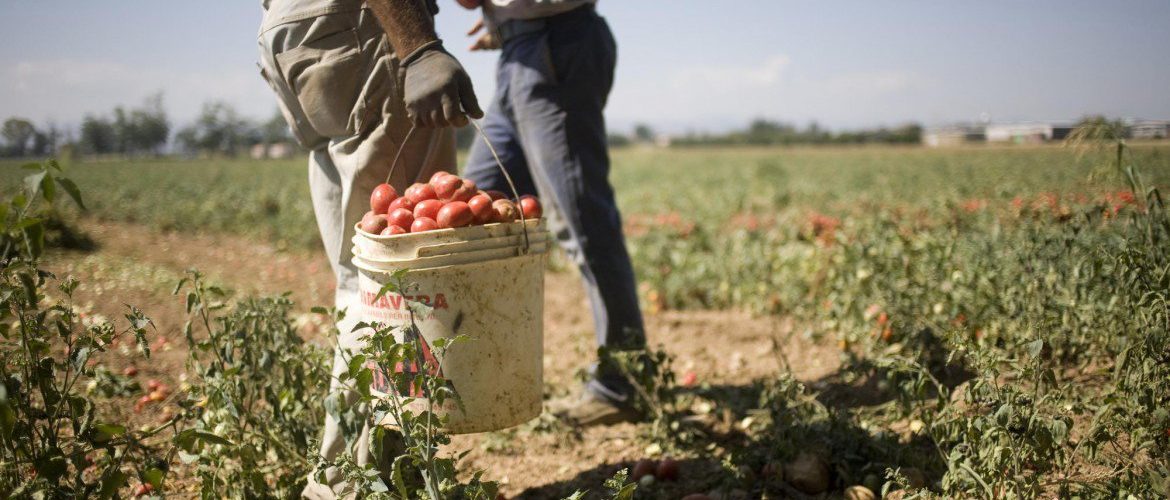 Caporalato, crescono le irregolarità. Una legge regionale per rafforzare strumenti di controllo – ASCOLTA