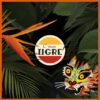 Disco della settimana | C’mon Tigre – Habitat