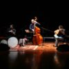 Il Nadar Trio di Ares Tavolazzi, Elias Nardi e Emanuele Le Pera sul palco per Mixité – ASCOLTA