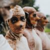 Al Teatro Lumière arriva “La Famiglia Suricati”, satira selvaggia del presente attraverso le vicende di un clan di animaletti – ASCOLTA