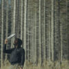 Al Cinema Astra “Il Codice del bosco”, il film che racconta l’esperimento che dalla Val di Fiemme dimostra la capacità di comunicazione delle piante – ASCOLTA