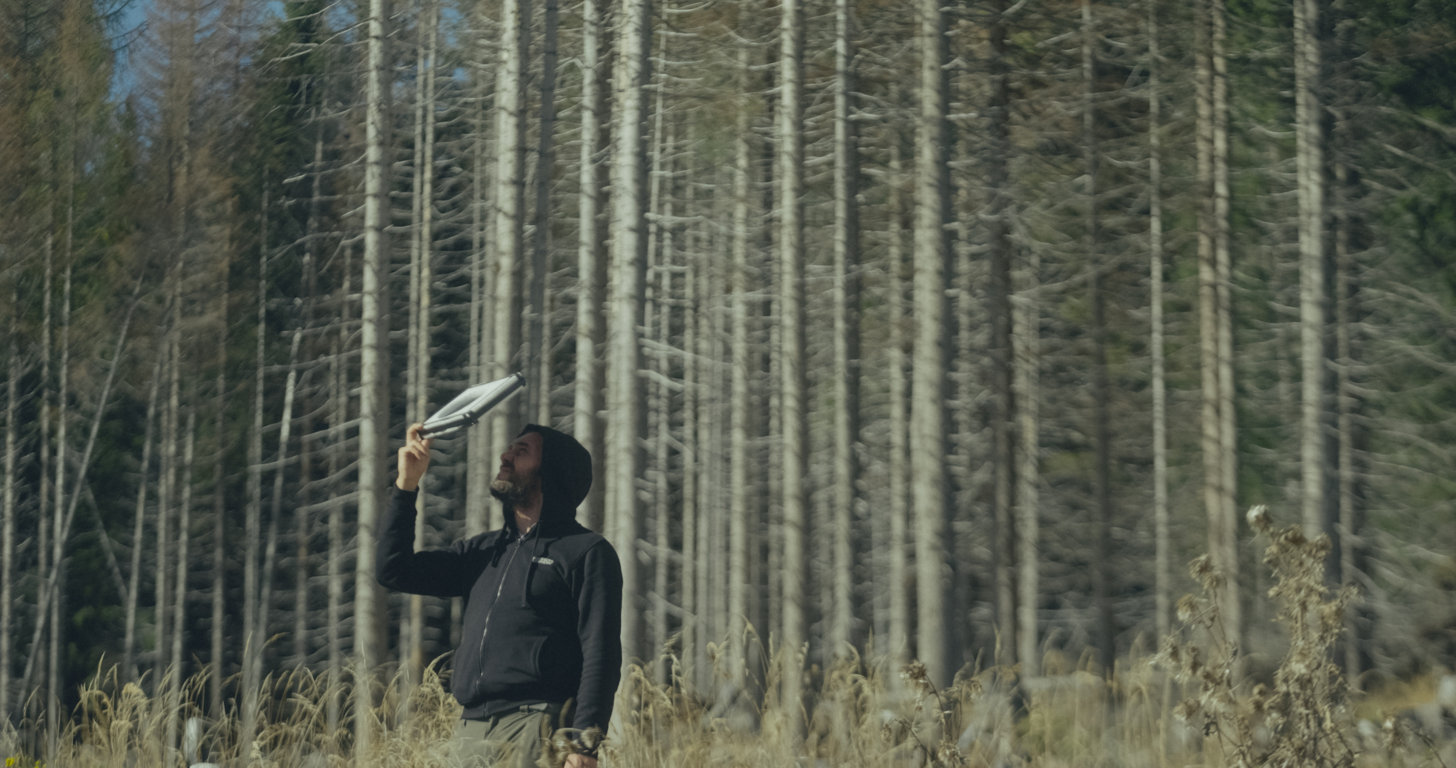 Al Cinema Astra “Il Codice del bosco”, il film che racconta l’esperimento che dalla Val di Fiemme dimostra la capacità di comunicazione delle piante – ASCOLTA