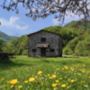Musica, passeggiate e libri in Alto Mugello con “Passi, musica e parole. Il Festival Lento d’Appennino” – ASCOLTA