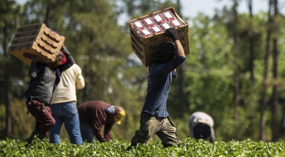 Emergenza caldo e lavoro, l’allarme della Cgil: “Basta chiacchiere, servono ordinanze urgenti e tavoli territoriali su regole e coperture” – ASCOLTA