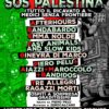 Piero Pelù, Afterhours, Tre Allegri ragazzi Morti, Fast Animals and Slow Kids sul palco per il concertone SOS Palestina