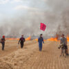 “Silent Springs”, al MAD la mostra fotografica dedicata all’attivismo climatico europeo – ASCOLTA