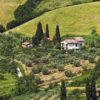Nel Chianti torna la scuola per giovani contadini, il corso triennale con lezioni in aula e tra i campi – ASCOLTA
