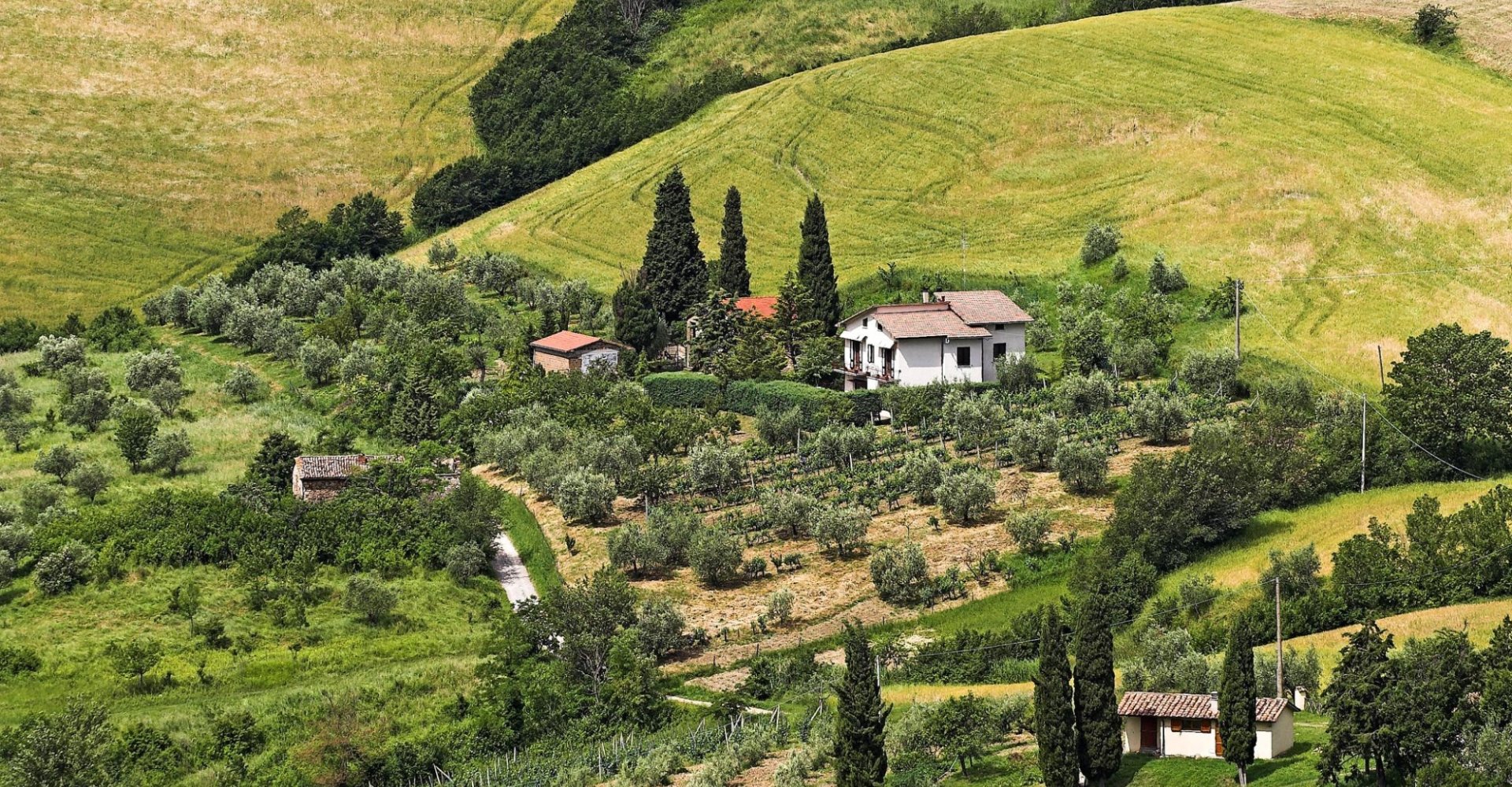 Sfondo
